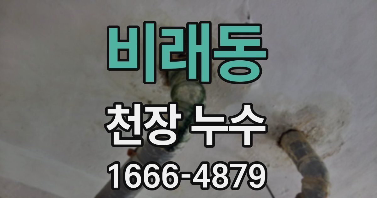 비래동 천장 누수