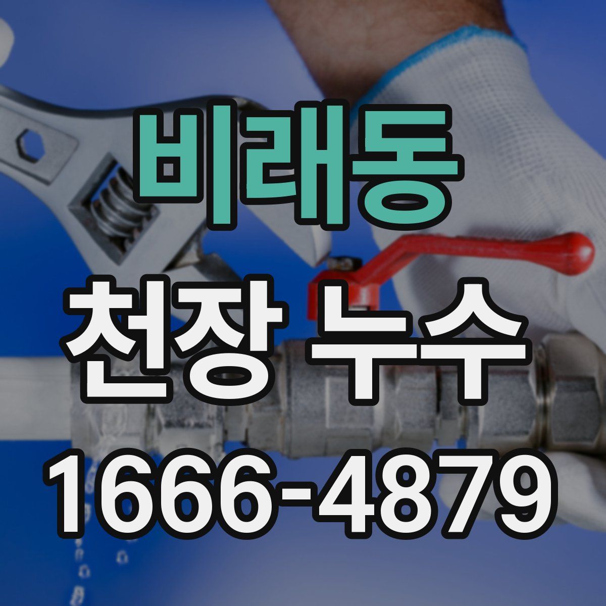 비래동 천장 누수