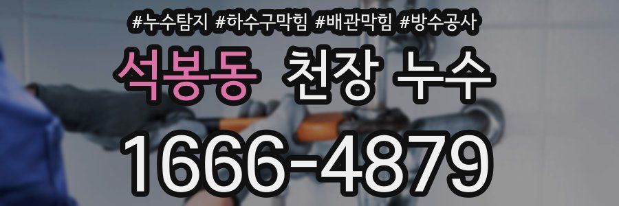 석봉동 천장 누수