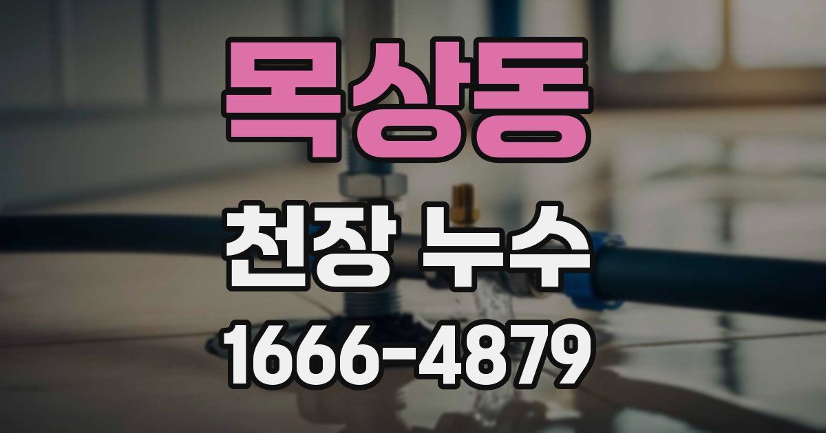 목상동 천장 누수