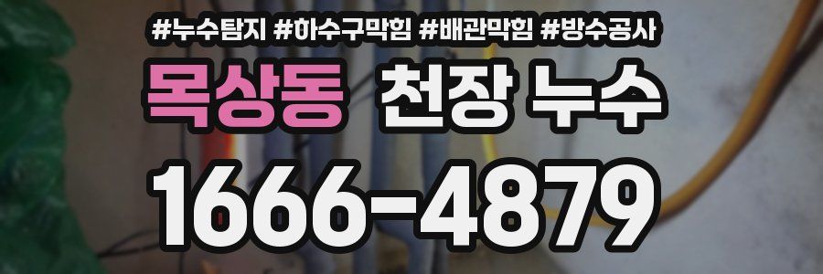 목상동 천장 누수