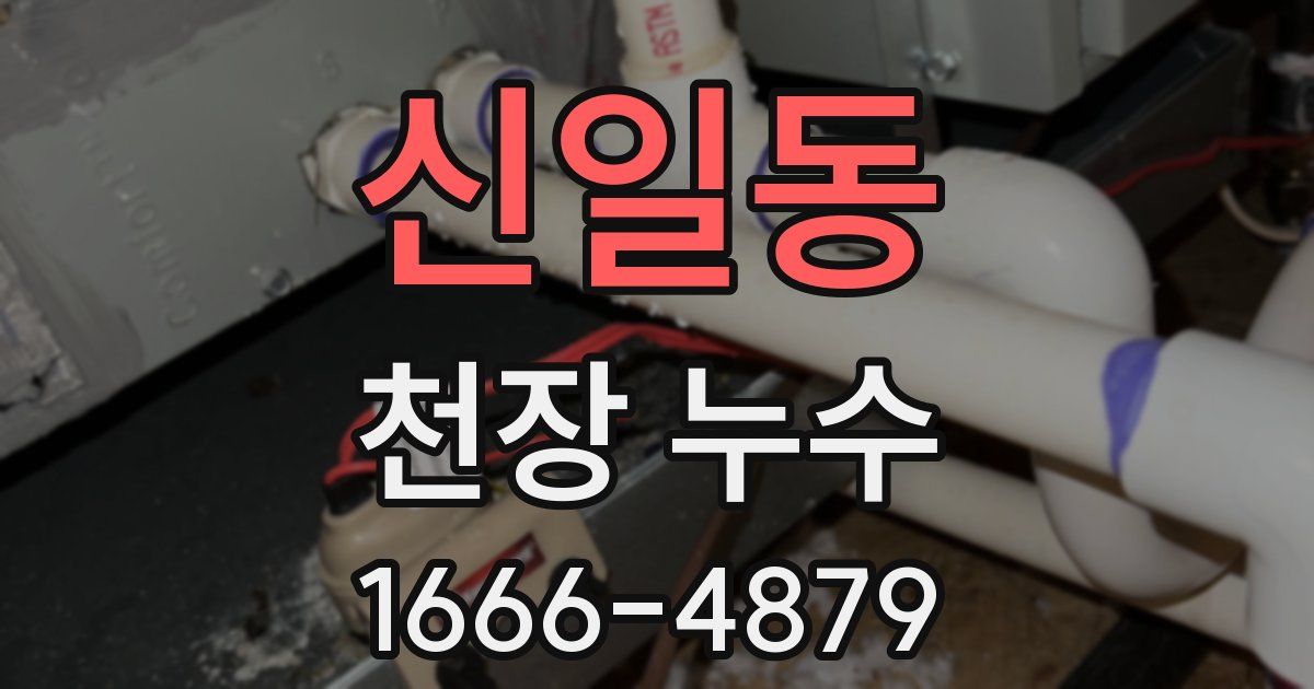 신일동 천장 누수