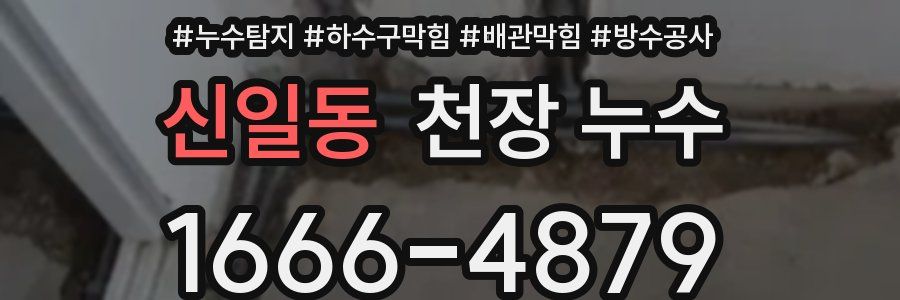 신일동 천장 누수
