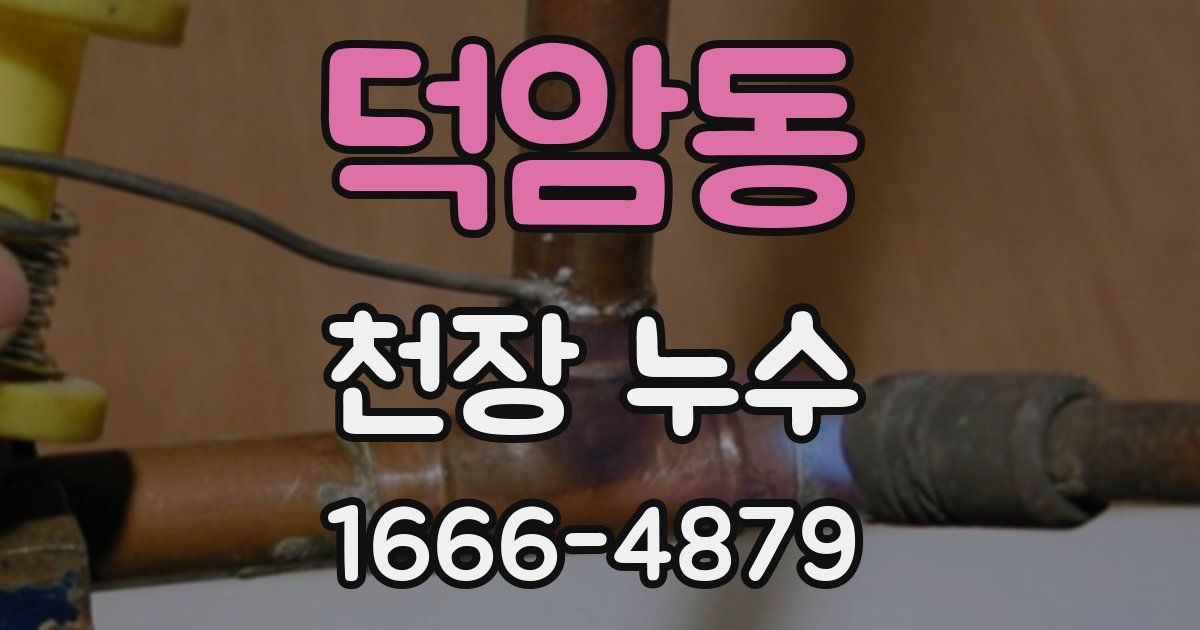 덕암동 천장 누수