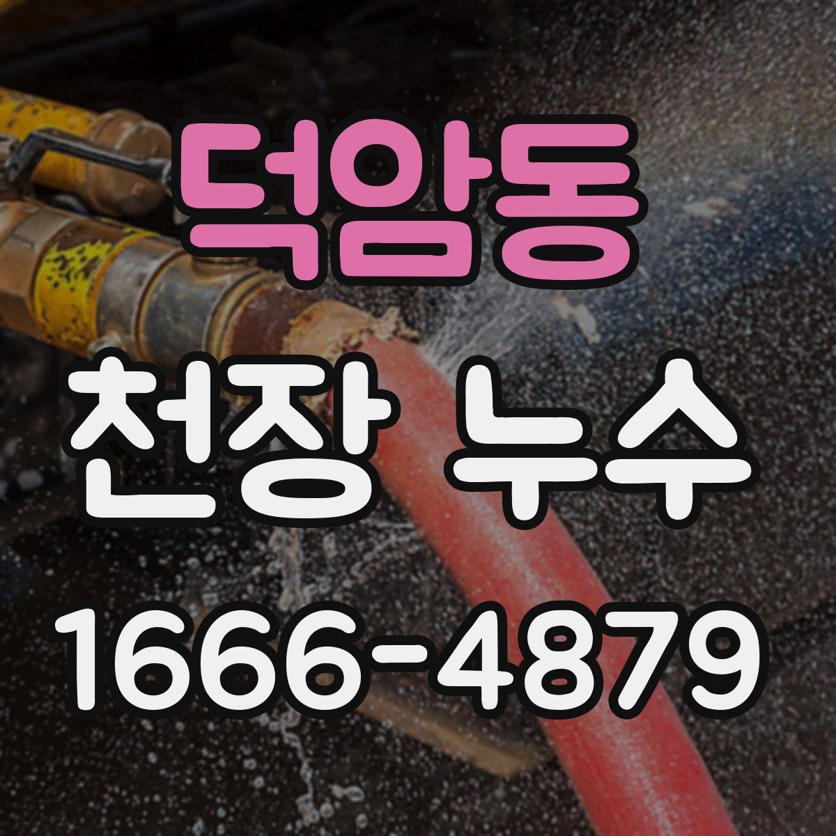 덕암동 천장 누수