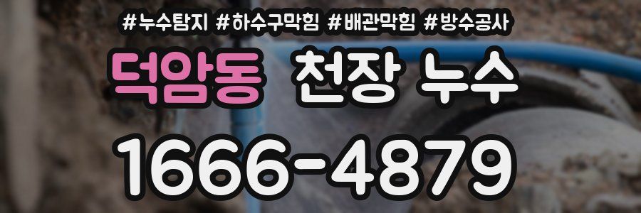 덕암동 천장 누수