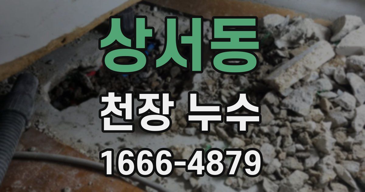 상서동 천장 누수