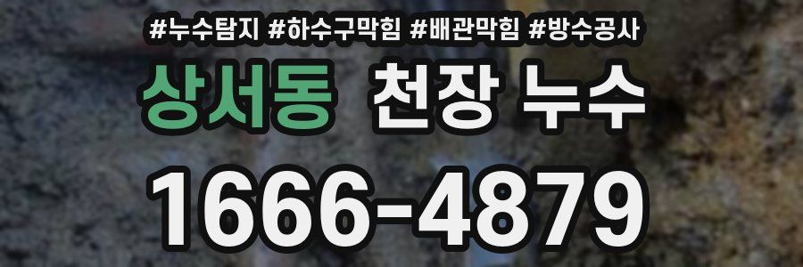 상서동 천장 누수