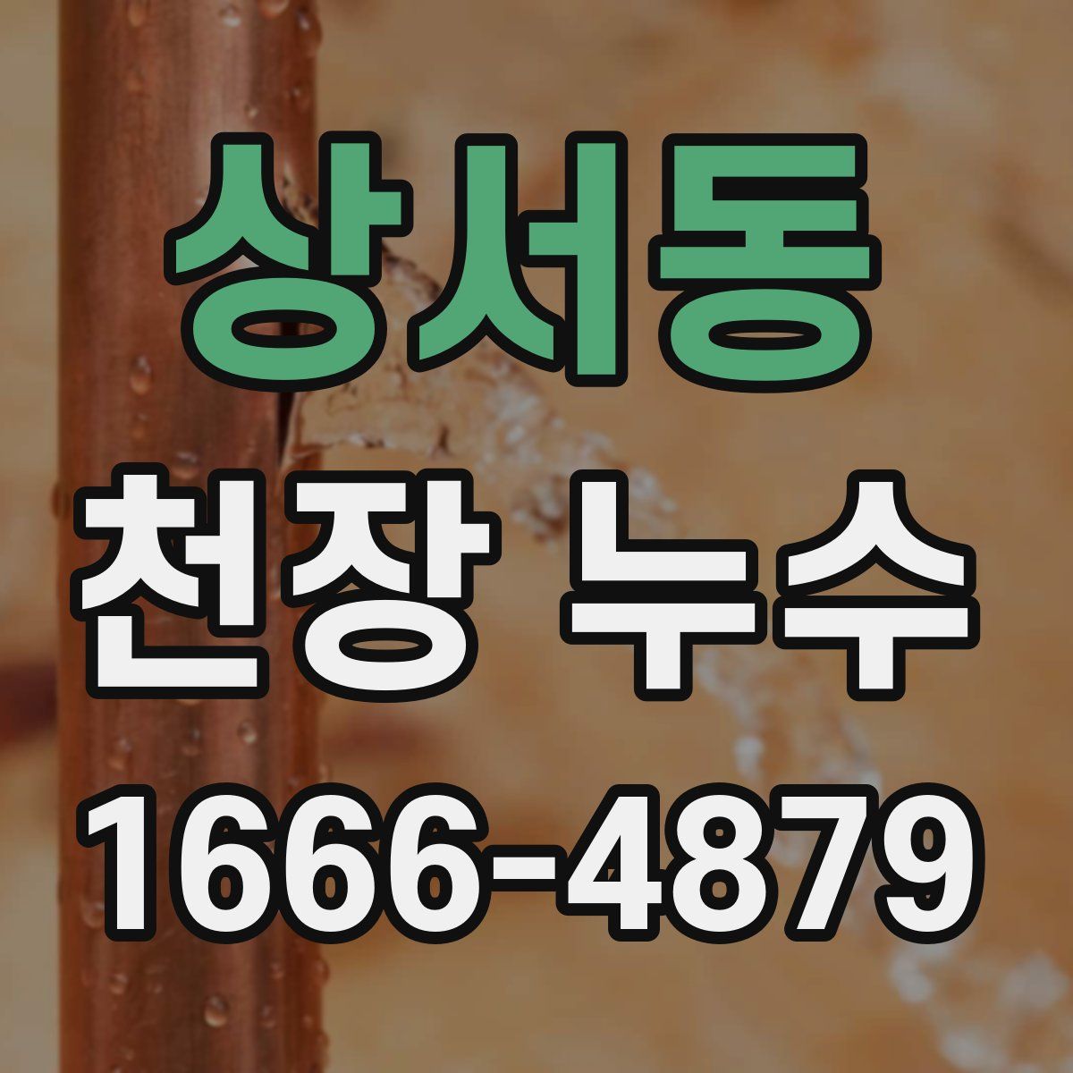 상서동 천장 누수