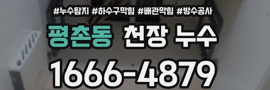평촌동 천장 누수