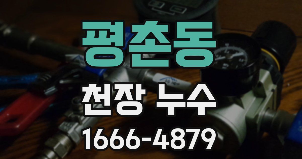 평촌동 천장 누수