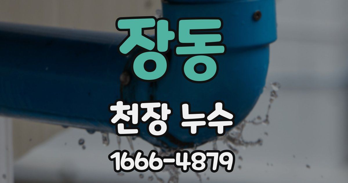 장동 천장 누수