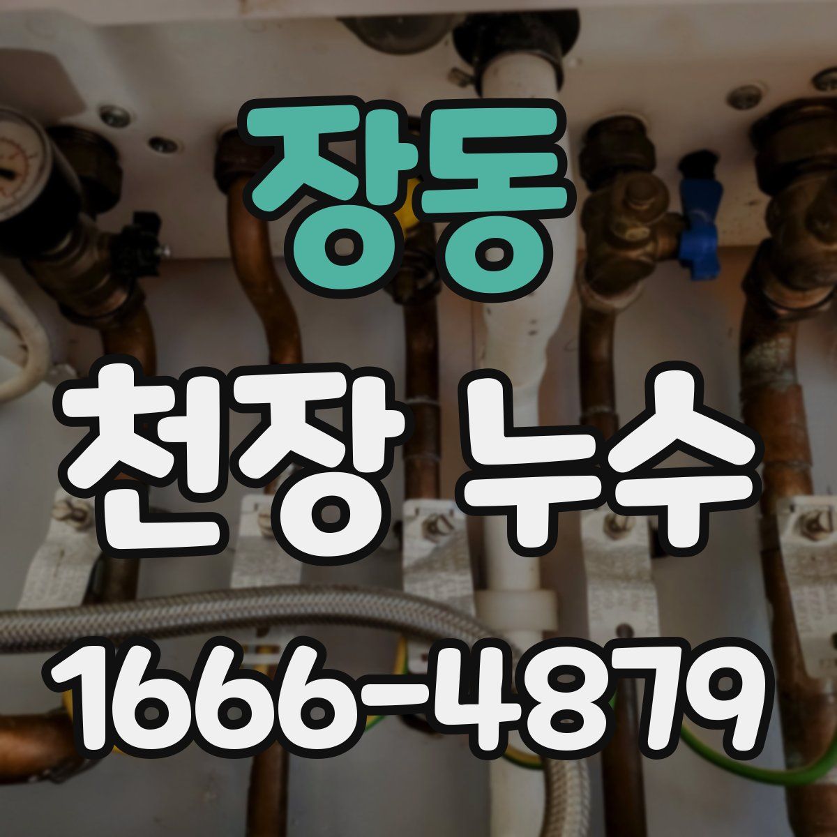 장동 천장 누수
