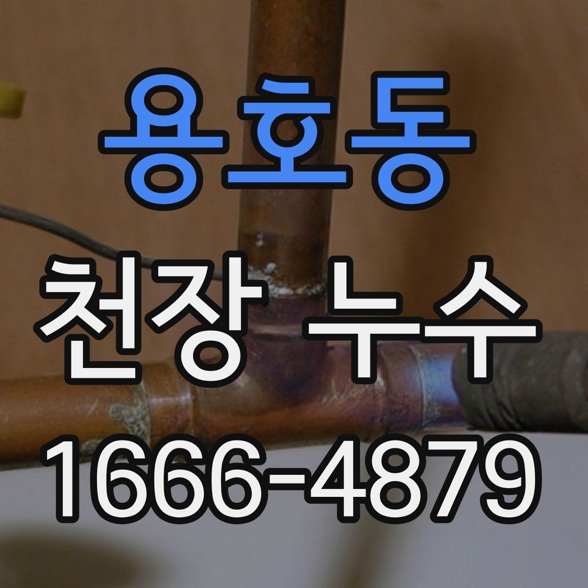 용호동 천장 누수