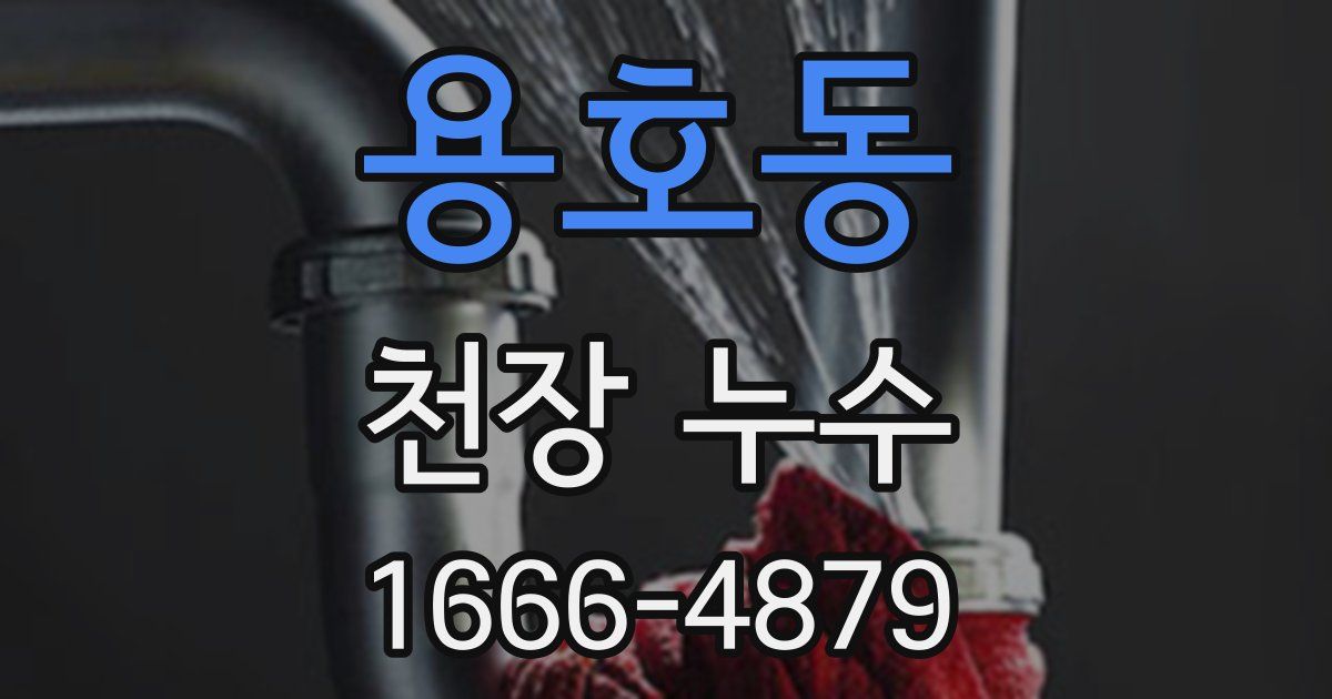 용호동 천장 누수