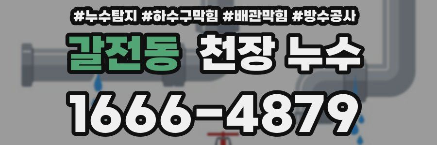 갈전동 천장 누수