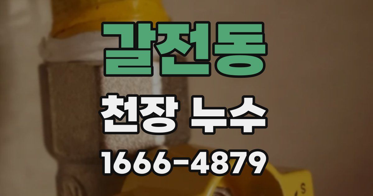 갈전동 천장 누수