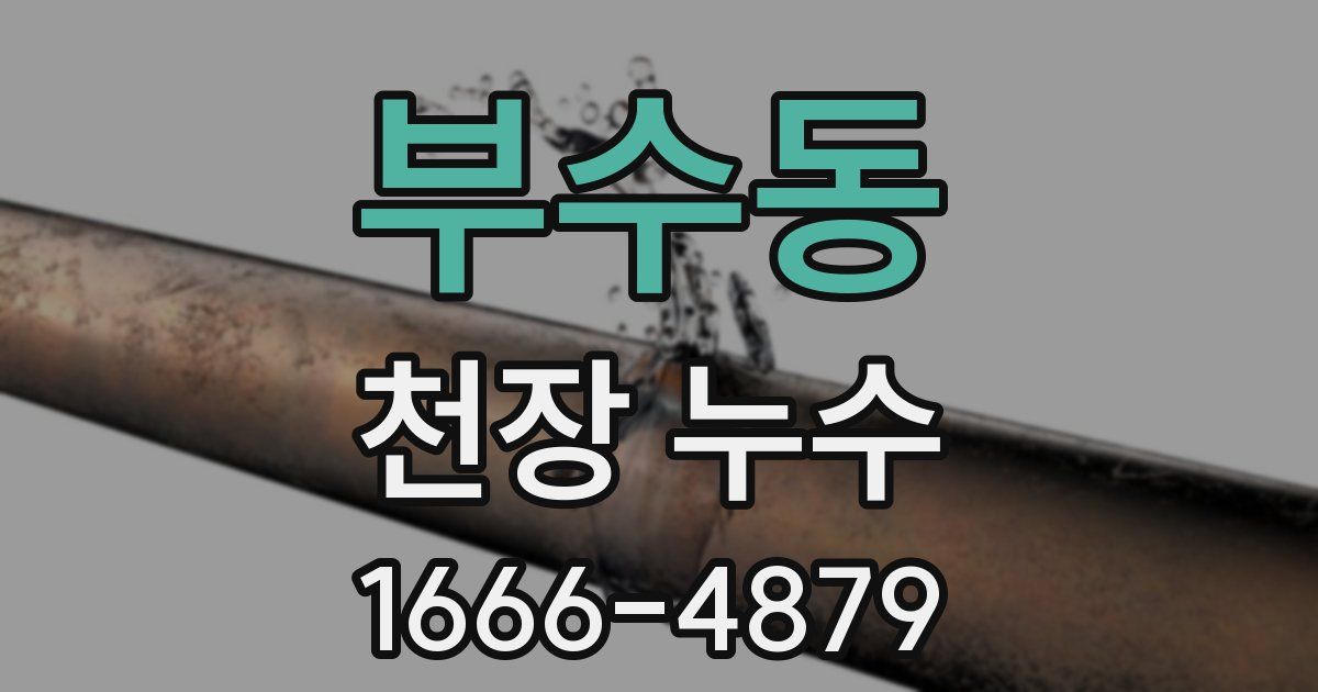 부수동 천장 누수
