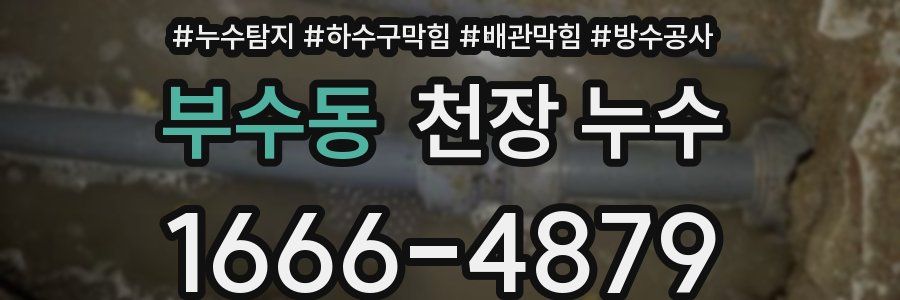 부수동 천장 누수
