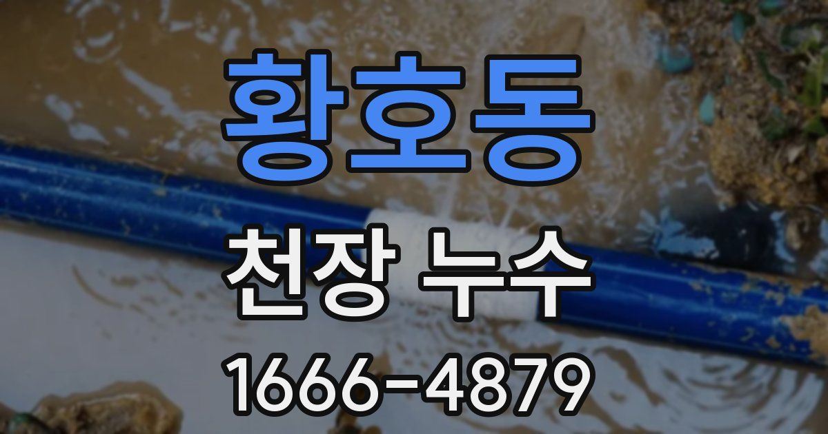 황호동 천장 누수