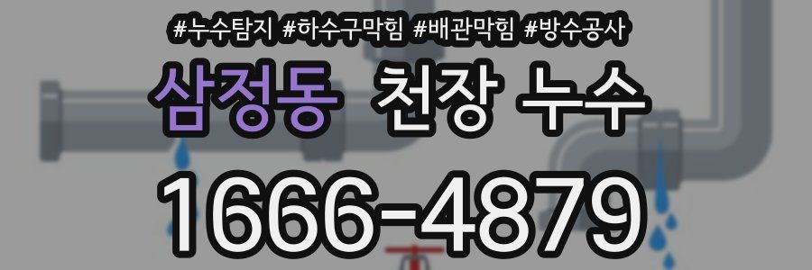 삼정동 천장 누수