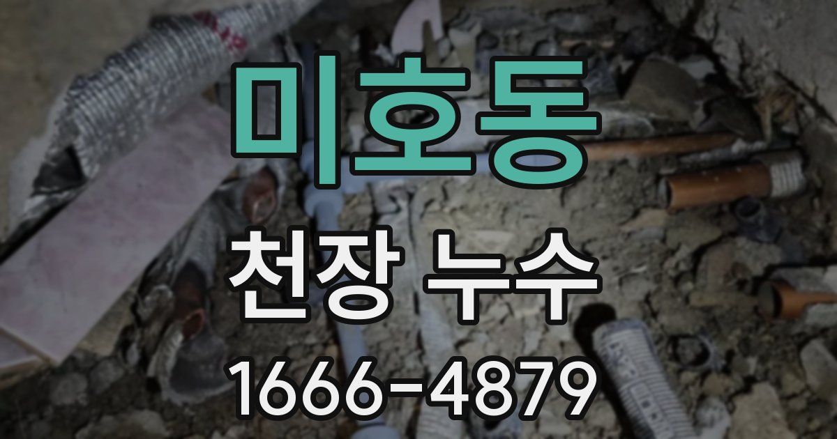 미호동 천장 누수