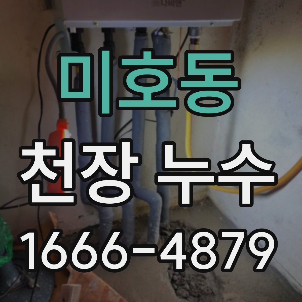 미호동 천장 누수