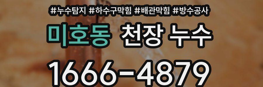 미호동 천장 누수