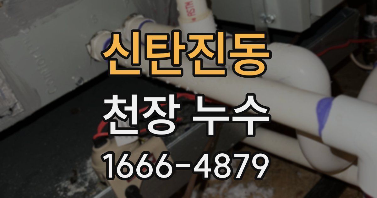 신탄진동 천장 누수