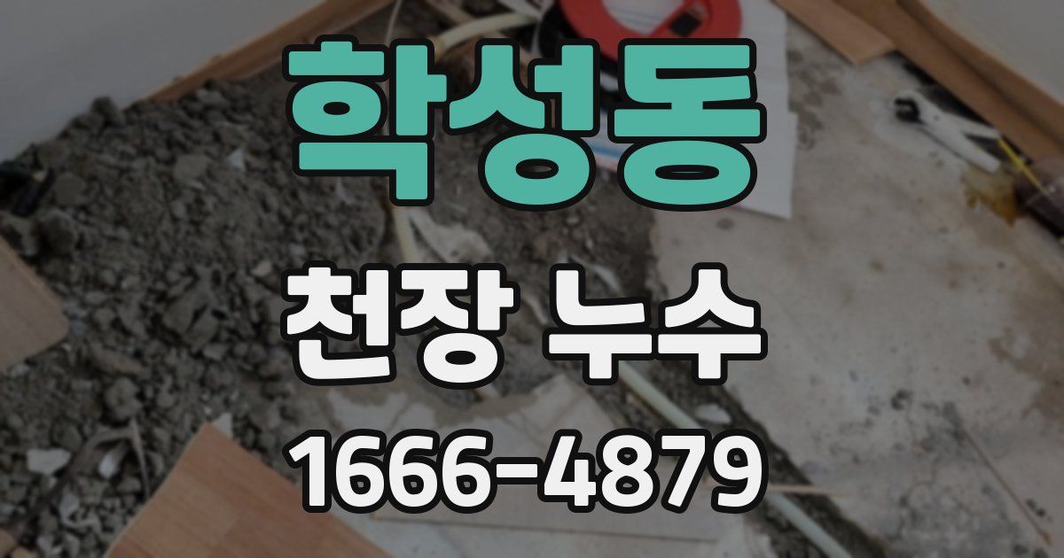 학성동 천장 누수