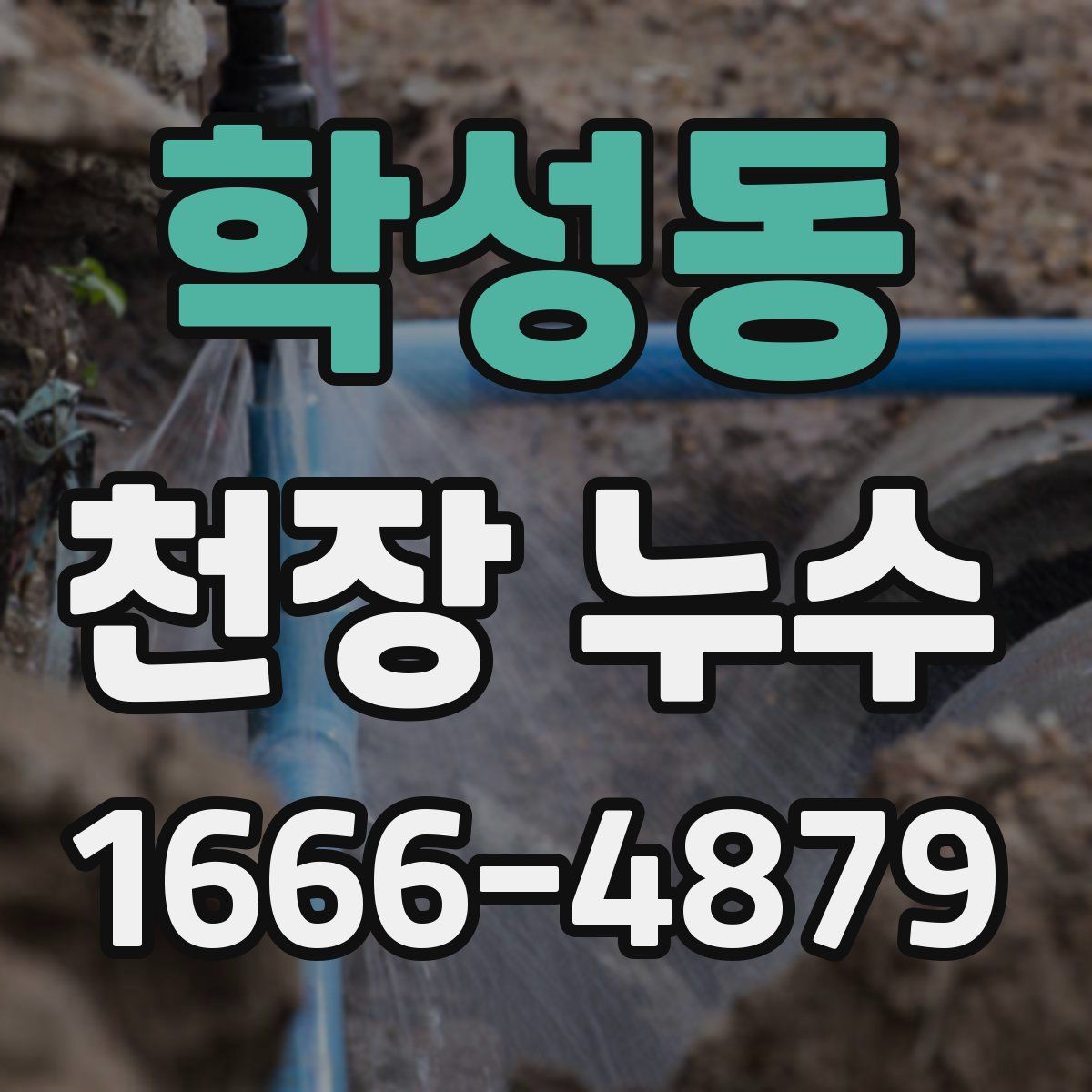 학성동 천장 누수
