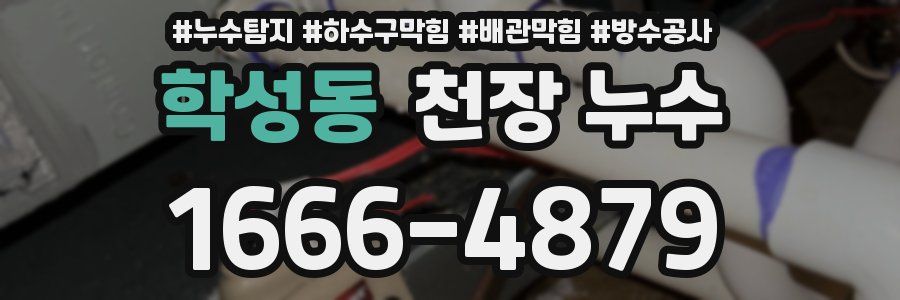 학성동 천장 누수