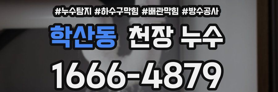 학산동 천장 누수