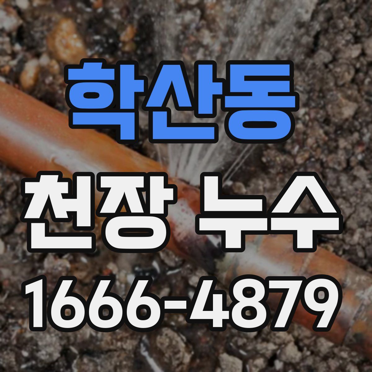 학산동 천장 누수
