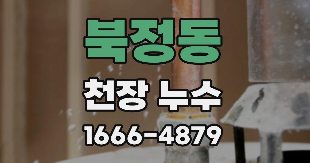 북정동 천장 누수