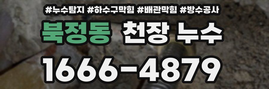 북정동 천장 누수