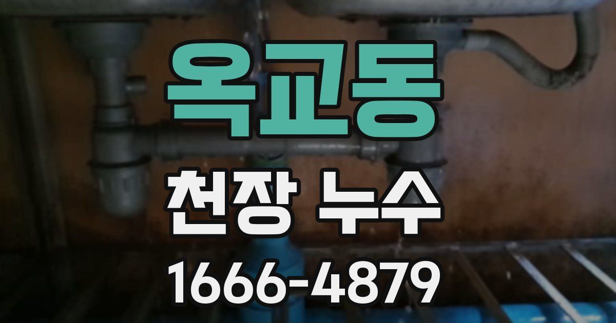옥교동 천장 누수