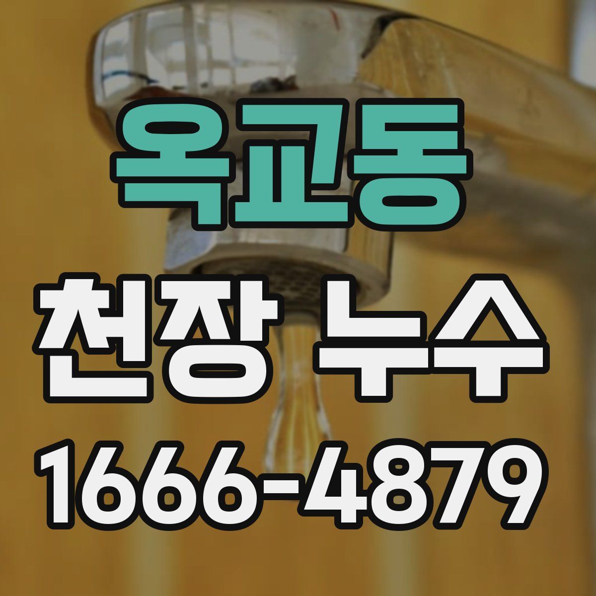 옥교동 천장 누수