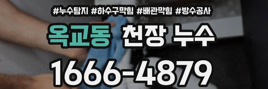 옥교동 천장 누수