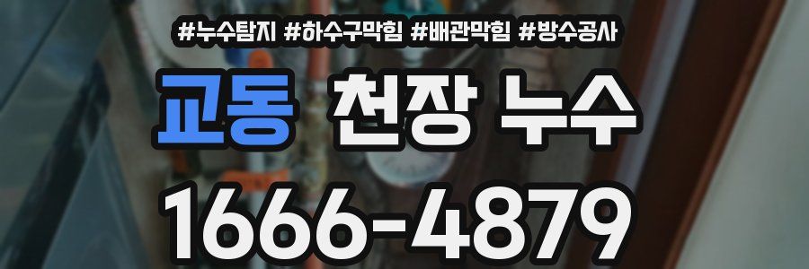 교동 천장 누수