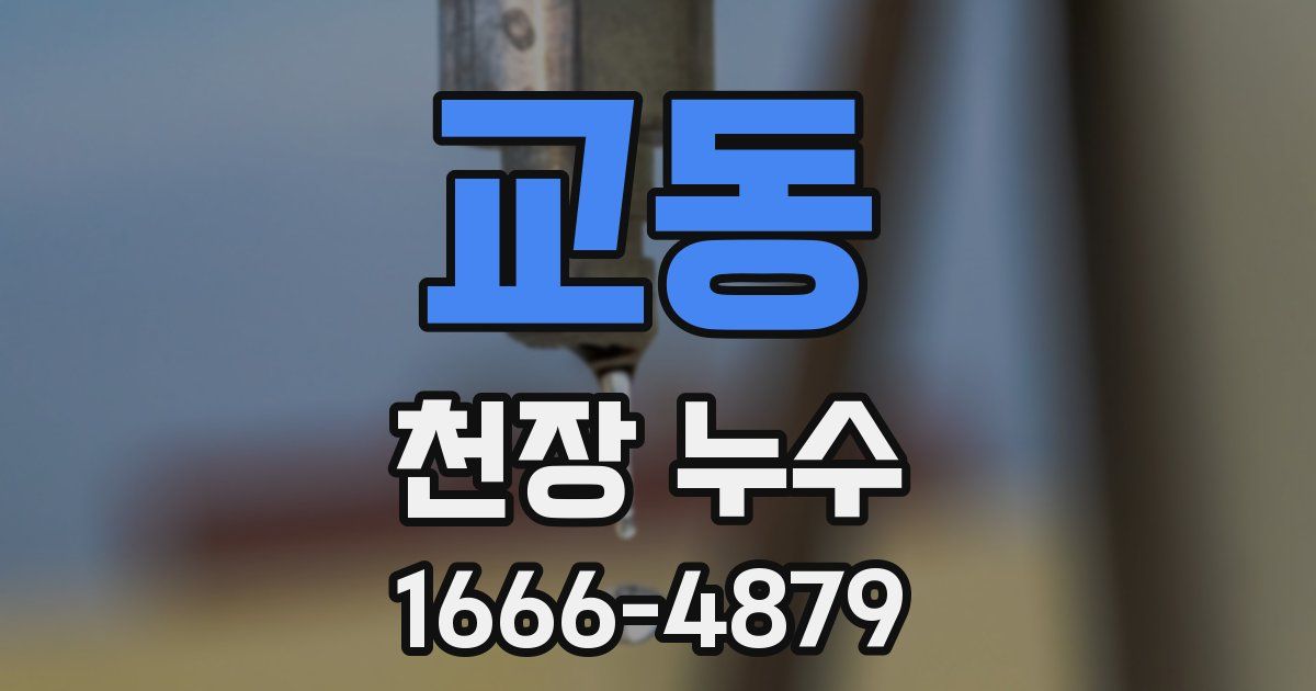 교동 천장 누수