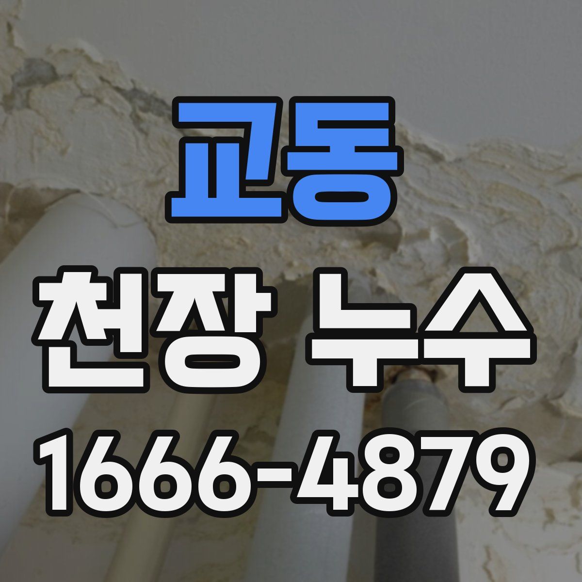 교동 천장 누수