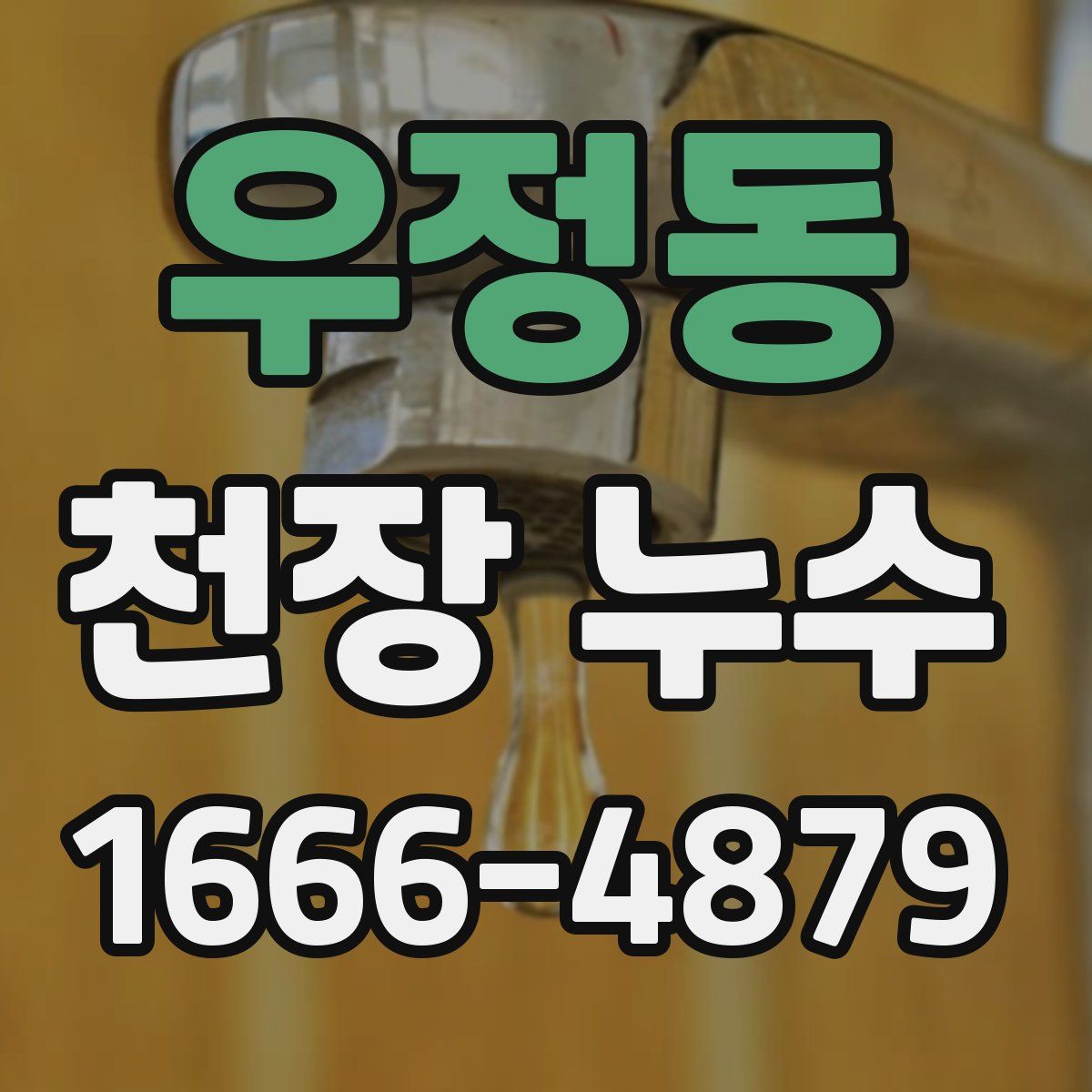 우정동 천장 누수