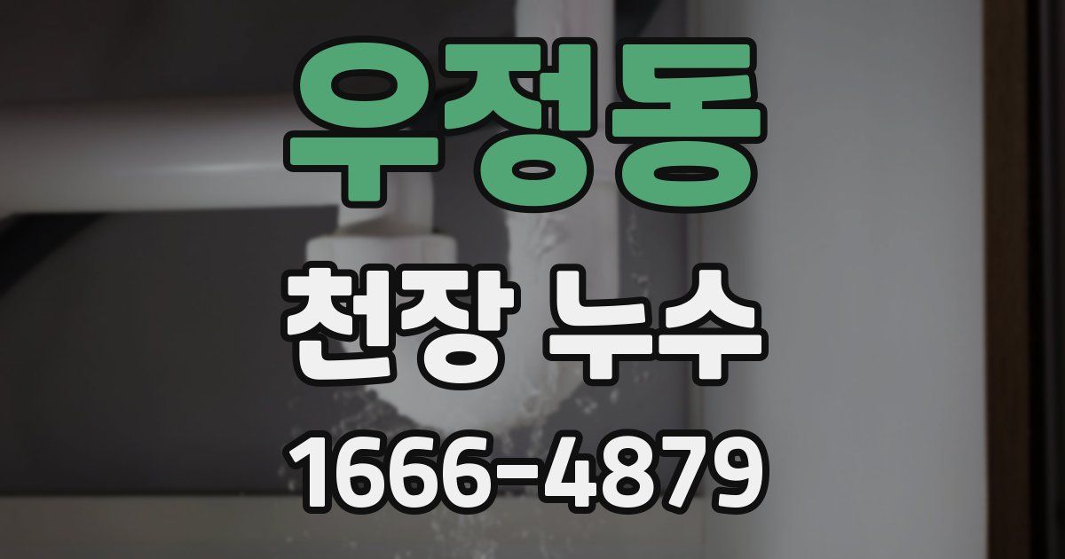 우정동 천장 누수