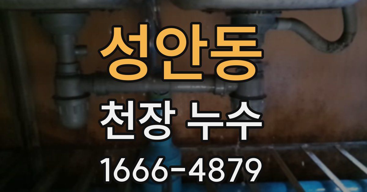 성안동 천장 누수