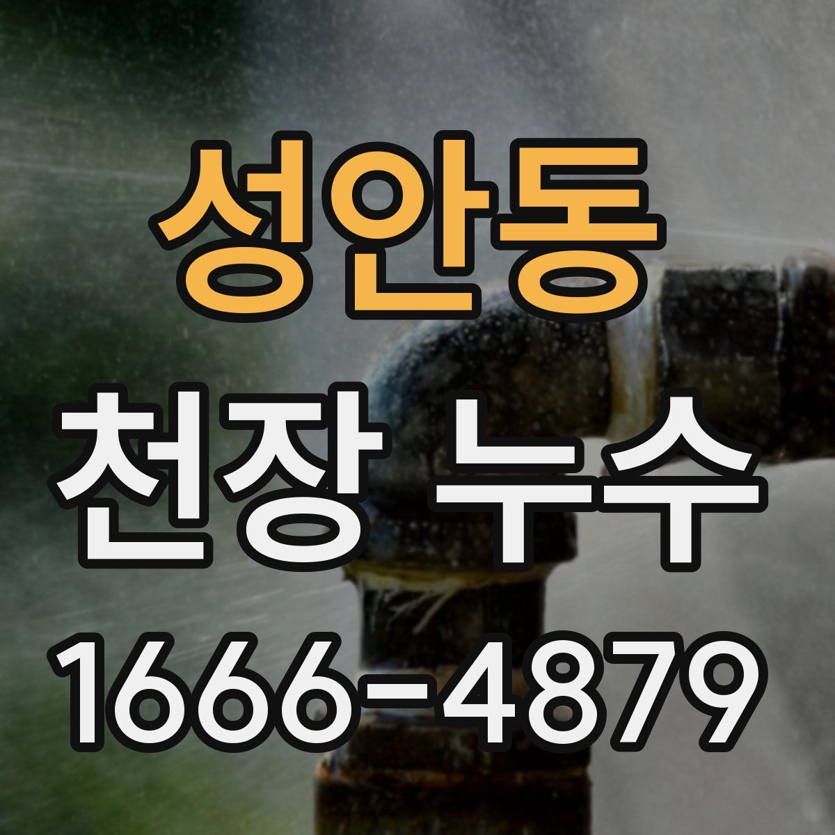 성안동 천장 누수