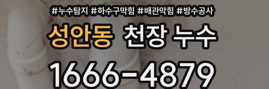 성안동 천장 누수