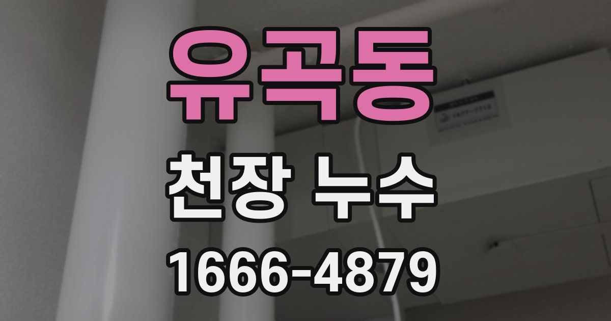 유곡동 천장 누수