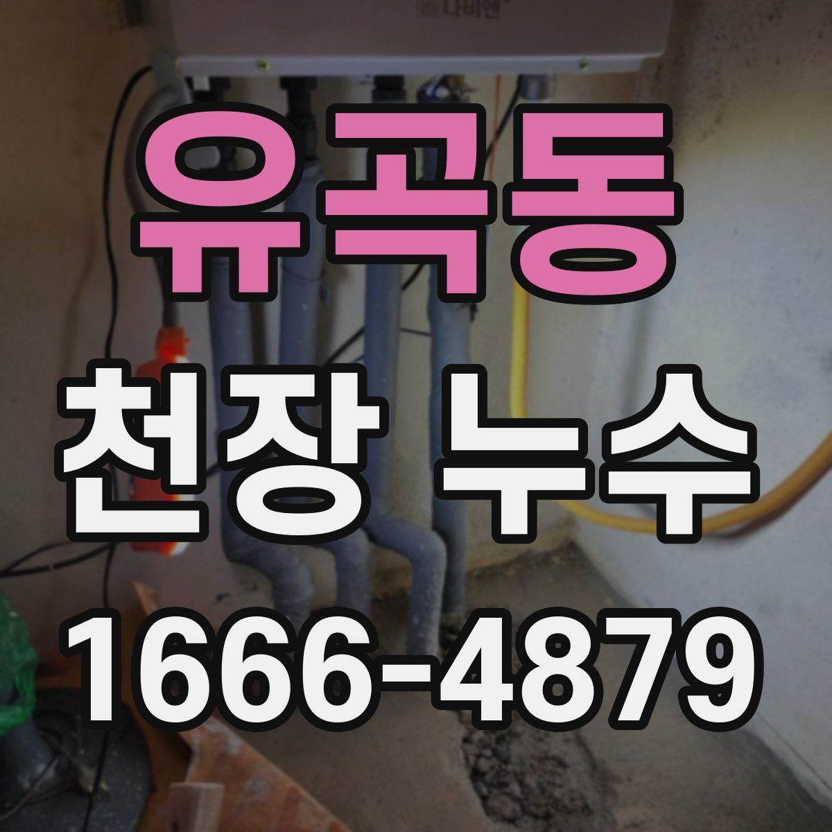 유곡동 천장 누수
