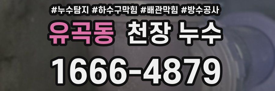 유곡동 천장 누수